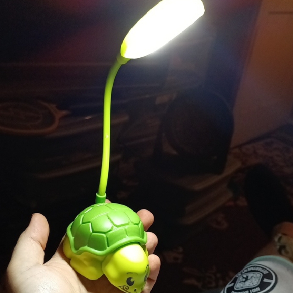 Green Turtle LED Desk Lamp